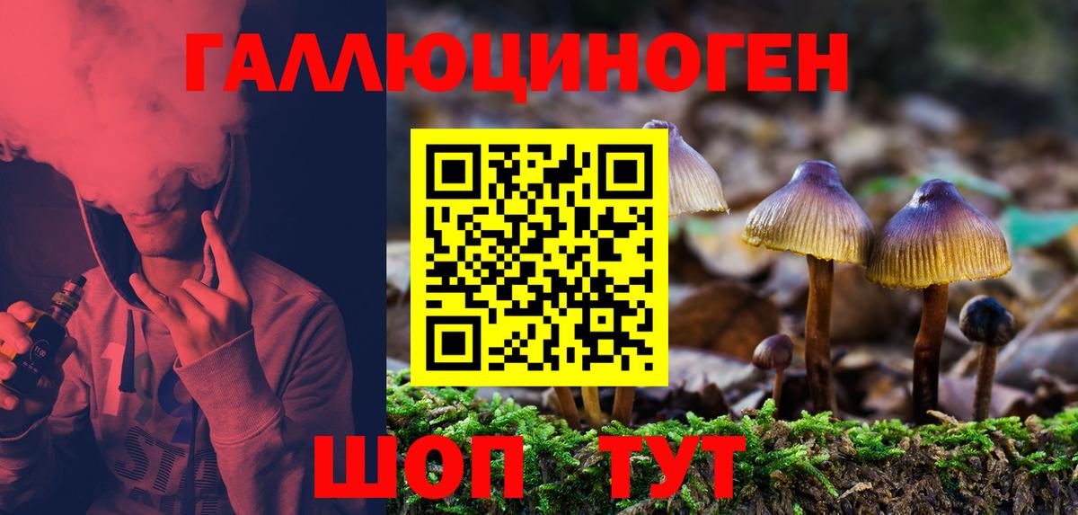 Псилоцибиновые грибы Cubensis  Вход с VPN  Жигулёвск 
